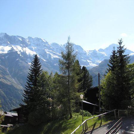 Chalet Schoenbuehl Mürren Exteriér fotografie
