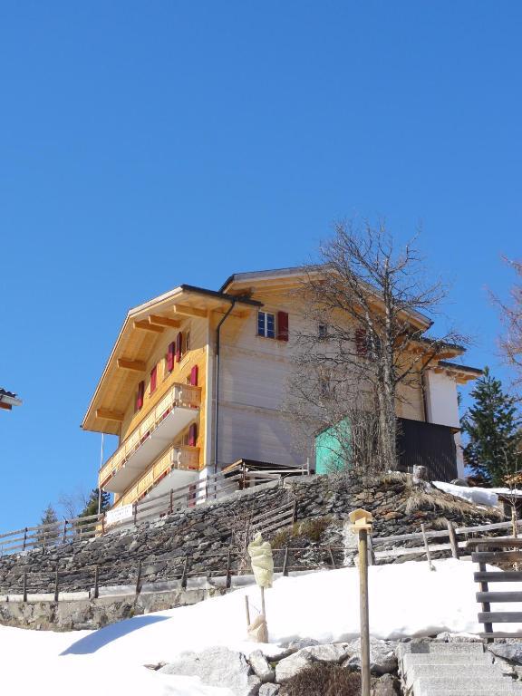 Chalet Schoenbuehl Mürren Exteriér fotografie
