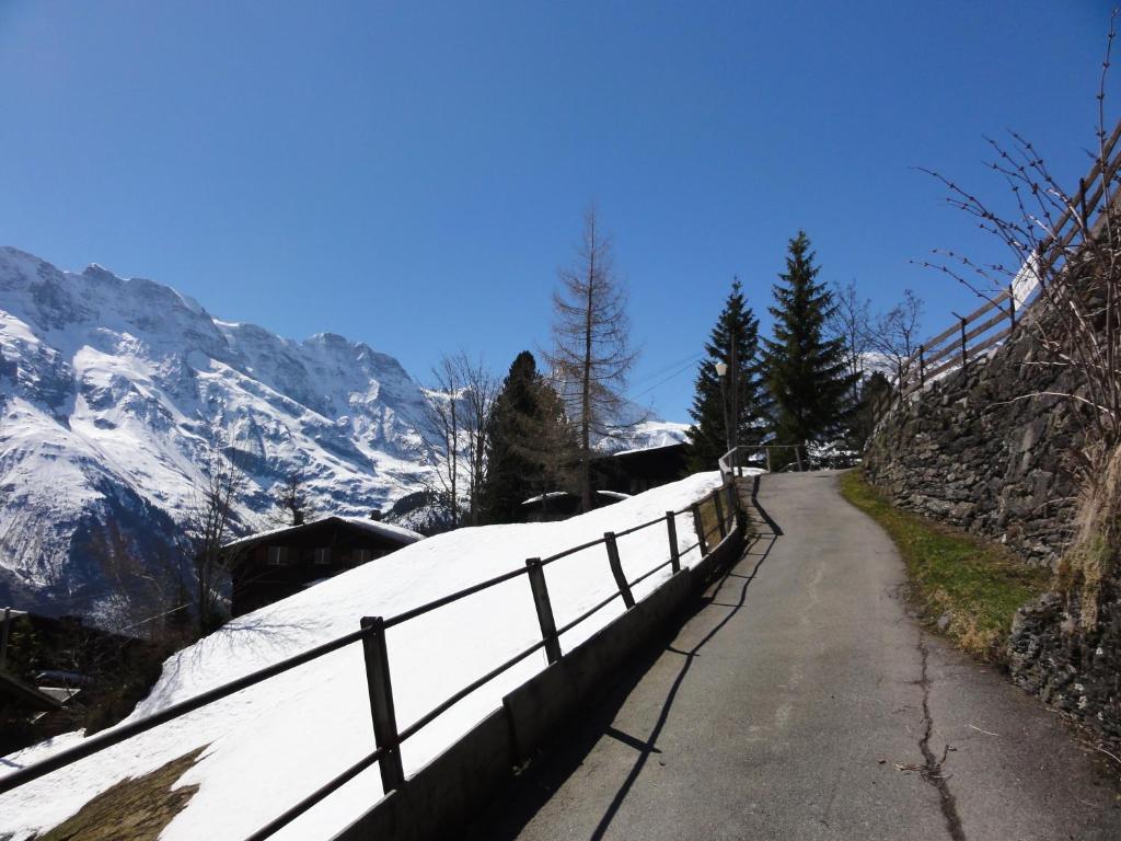 Chalet Schoenbuehl Mürren Exteriér fotografie