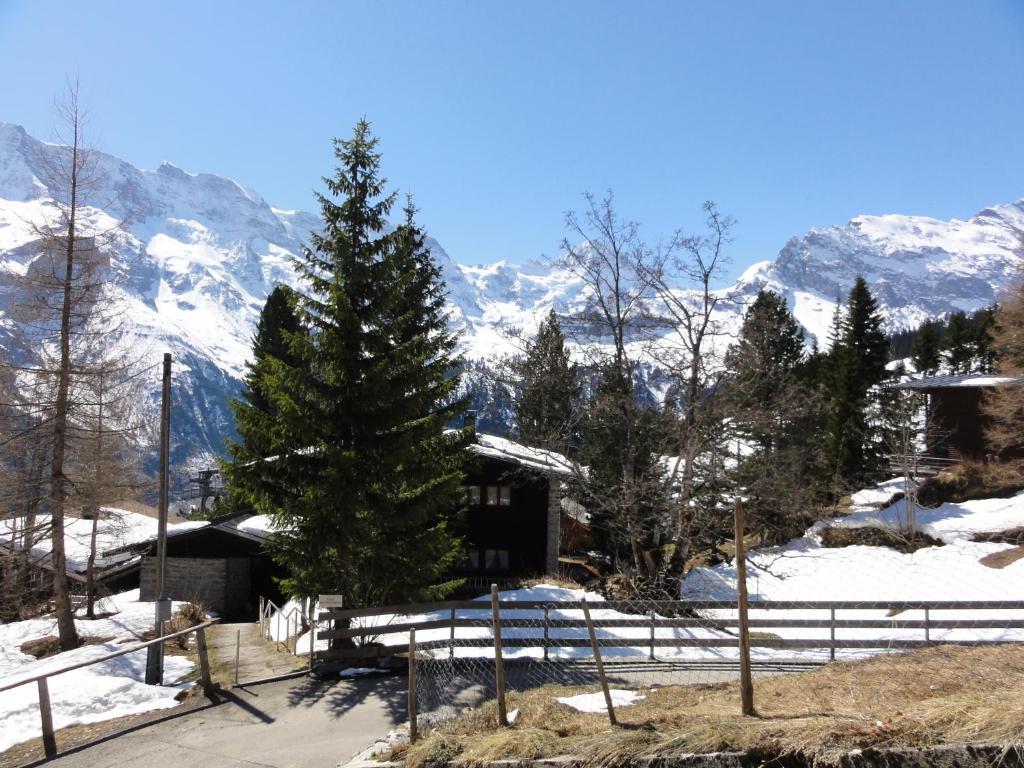 Chalet Schoenbuehl Mürren Exteriér fotografie
