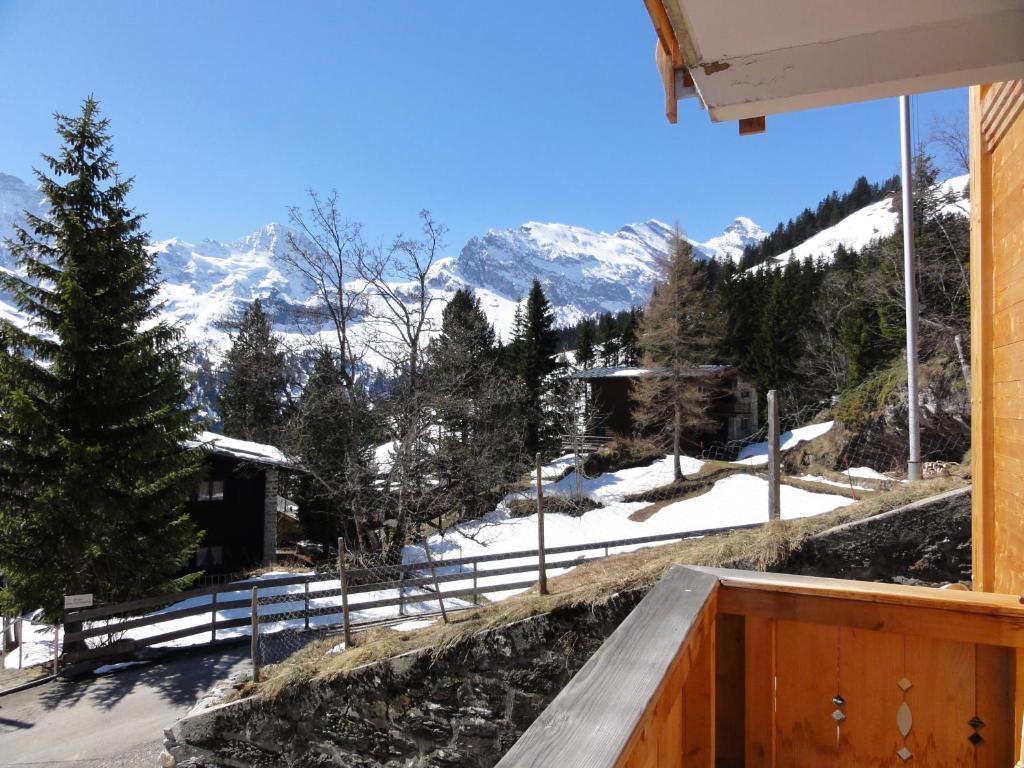 Chalet Schoenbuehl Mürren Exteriér fotografie