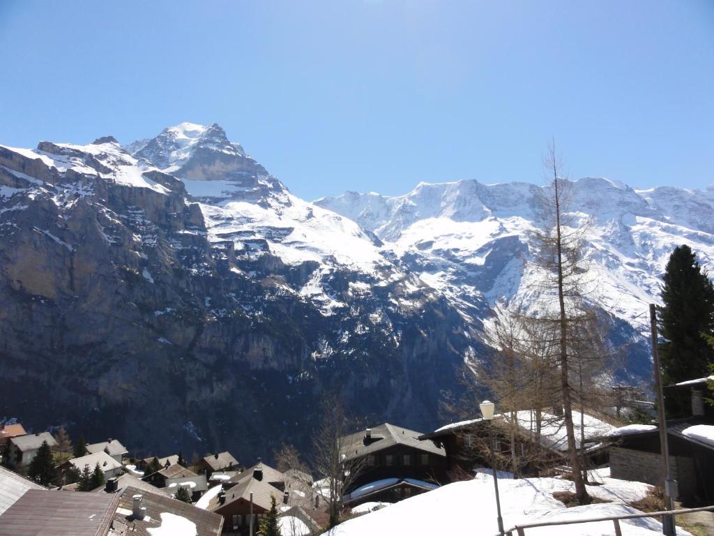 Chalet Schoenbuehl Mürren Exteriér fotografie